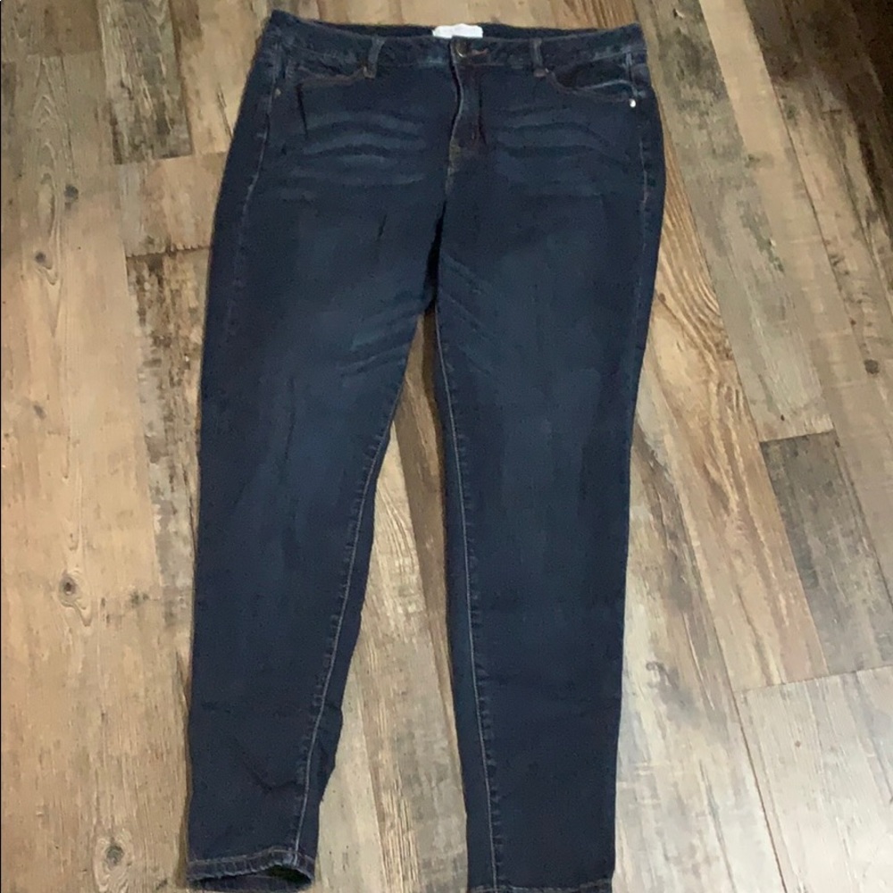 Lane Bryant Jeans